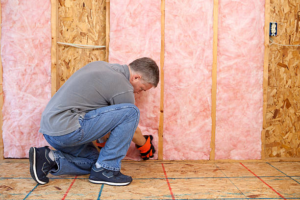 Best Wall Insulation Installation  in Ellicott City, MD