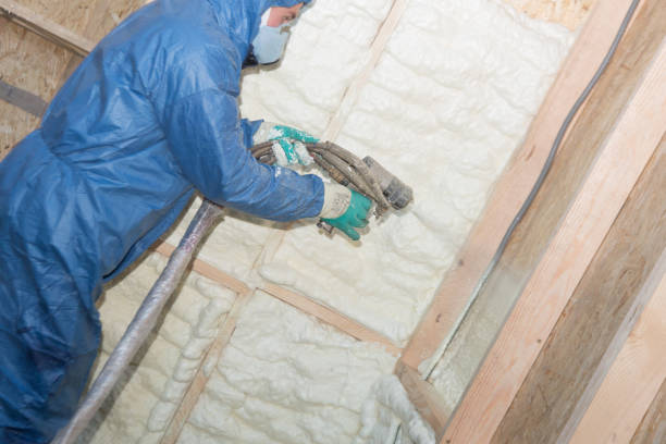 Best Reflective Insulation  in Ellicott City, MD